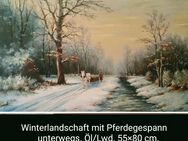Winterlandschaft mit dem Pferdegespann unterwegs. - Nürnberg