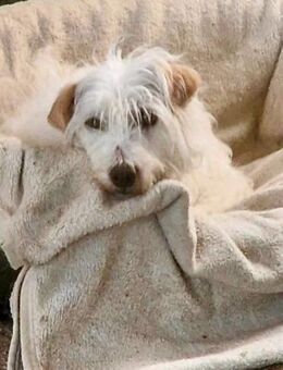 Wer zeigt Margie das Leben? - Oberhausen