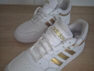 Adidas Damen Sportschuh in Gr. 37 . Ungetragen . NEU - Gelsenkirchen Scholven