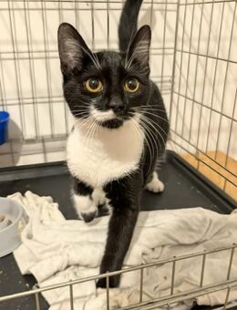 🌸Fröhliche Mirella🌸 - Eislingen (Fils)