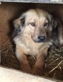 DARKOS - sucht aktive Menschen - Weiterstadt