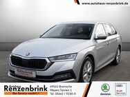 Skoda Octavia, 2.0 TDI Combi First Edition, Jahr 2021 - Bramsche