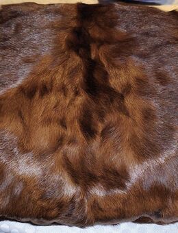 Silberfuchs Pelz Muff Winter Accessoire Vintage 60er Portemonnaie - Neuss