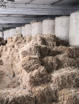 Heu und Stroh zu verkaufen - Waldhufen