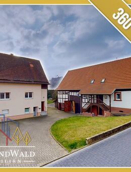 2x EFH mit Hof, Garten, großer Scheune und Garage in Busenberg - Busenberg