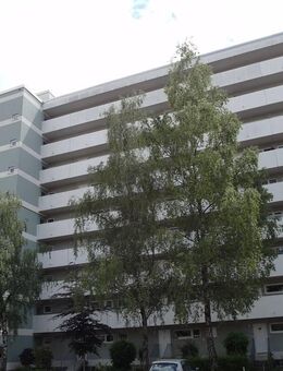 Super geschnittene helle 2 Zimmerwohnung mit Küche und Süd-Loggia - München