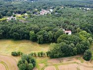 Waldgrundstücke - nahe an Wohnsiedlung im Berliner Speckgürtel - Zossen