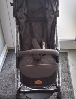 Buggy Sportwagen Reisebuggy - Hamm