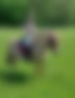 Nic*** - Hanau (Brüder-Grimm-Stadt)