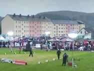 Sport um die Ecke & Ihr neues Zuhause mit Balkon - Thum