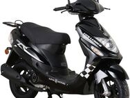 Alpha Motors Motorroller CityLeader, 50 ccm, 45 km/h, Euro 5