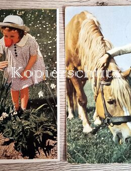 Auslese-Bild-Verlag & Oberlausitzer Kunstverlag, 2 Kinder-Postk. - Bautzen