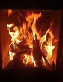 Suche nette Frau fürs Land in 15230