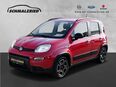 Fiat Panda, 1.0 City Life Mild Hybrid Berganfahrass, Jahr 2021 in 27570