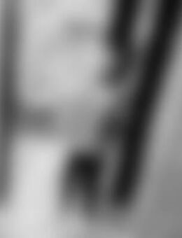 Dom*** - Castrop-Rauxel