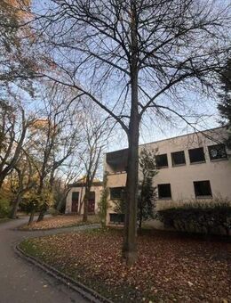 2-Familienhaus mitten im Park in der Regenburger Innenstadt - Regensburg