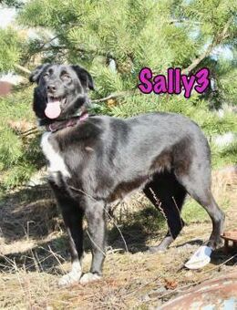 Sanfte Sally3 sucht ihr Glück 04/21 - Ruppertsecken