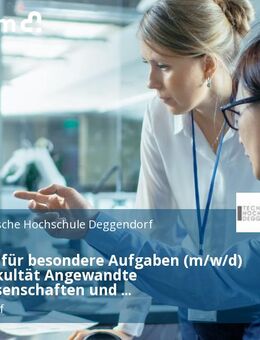 Lehrkraft für besondere Aufgaben (m/w/d) an der Fakultät Angewandte Naturwissenschaften und Wirtschaftsingenieurwesen - Deggendorf