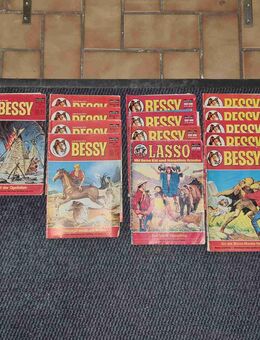 13 alte Bessy Hefte + 1 Doppelband + 1 Lasso - Berlin