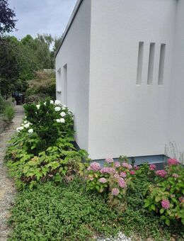 Wunderschön sanierter Bungalow zum Wohlfühlen - Hanau (Brüder-Grimm-Stadt)