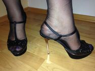 Nylons- & Heels-Queen sucht GELD-Sklaven - Eppelheim