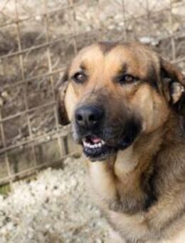 AMIRO - mit Schwung und Elan losgehen - Overath