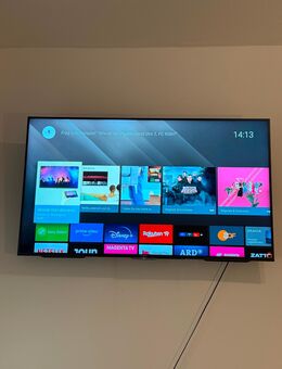 Sony 65 Zoll Smart-TV - Osnabrück