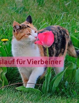 Die Steinzeit ist vorbei! Energieeffizient Bauen. - Wunsiedel