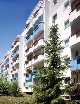 Wohnungsangebot Widderstraße 8 - Magdeburg