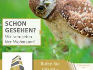 *Schicke 1-Raumwohnung* ab 1. Juni 2025 frei !!! - Riesa