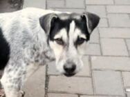 Kody – Ein gebrochenes Herz sucht Heilung - Burgthann