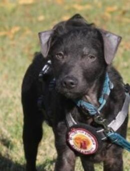 Paco sucht seine Familie - München