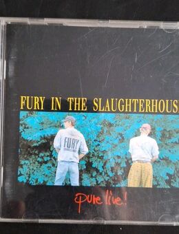 Fury in the Slaughterhouse - Pure Live - Essen
