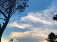 Freundlicher Pilot sucht 2-Zimmer-Wohnung mit Balkon oder kleinem Garten ab August/September 2025 - Nürnberg