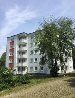 Die gefällt mir: günstig geschnittene 3-Zimmer-Wohnung - Bielefeld