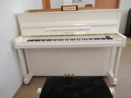 Yamaha B 2 Klavier gebraucht weiß poliert m. Garantie - Nideggen