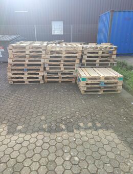 Einweg Holzpaletten zu verschenken - Köln
