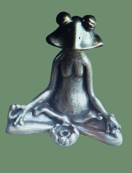 Froschdame beim Yoga im Mondlicht - Freiburg (Breisgau)