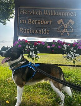 Lucky Luke - Sebnitz