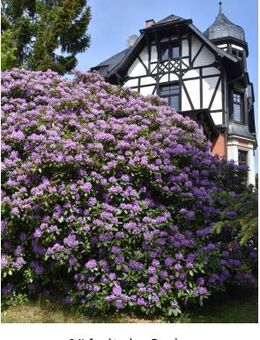 Gemütliche 3- Raumwohnung in wunderschöner Villa zu vermieten - Pöhl