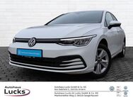 VW Golf, 2.0 TDI VIII Life, Jahr 2020 - Artern (Unstrut)