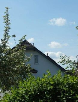 Wohnen in grüner Lage * Wohnhaus mit sonniger Terrasse & Garten* PV-Anlage für autarke Stromversorgung - Torgau