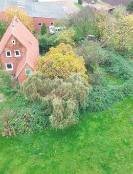 Einfamilienhaus für den ambitionierten Handwerker und weiteres Grünland zur Pacht möglich - Hilgermissen