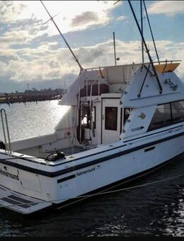 Motorschiff Phoenix SF Fly 10.50m x 3.20m 2x Cummings Diesel - Seevetal