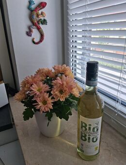 BioBio Trebbiano d'Abruzzo DOC trocken Weißwein, 13 Flaschen - München Pasing-Obermenzing