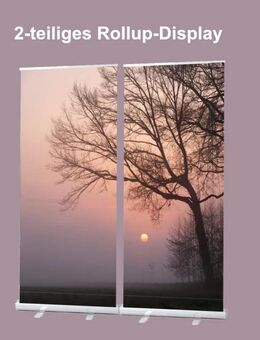 Roll-Up Display 2er-Set - 200 x 200 cm - "Bäume vor Sonnenuntergang" - Bestatterbedarf, Dekoration: - Wilhelmshaven Zentrum