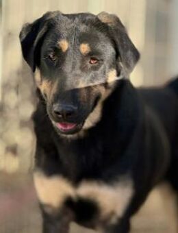 Lebensfrohe, liebe Fanta - Kallmünz