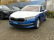 Skoda Octavia, Combi Selection A, Jahr 2024 - Buchholz (Nordheide)