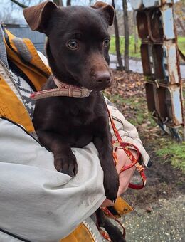 Der liebe Finn ist voller Lebensfreude ! - Dortmund