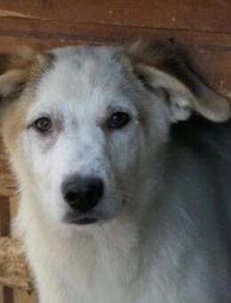 Lieber, aufgeschlossener Kuchen - Kallmünz